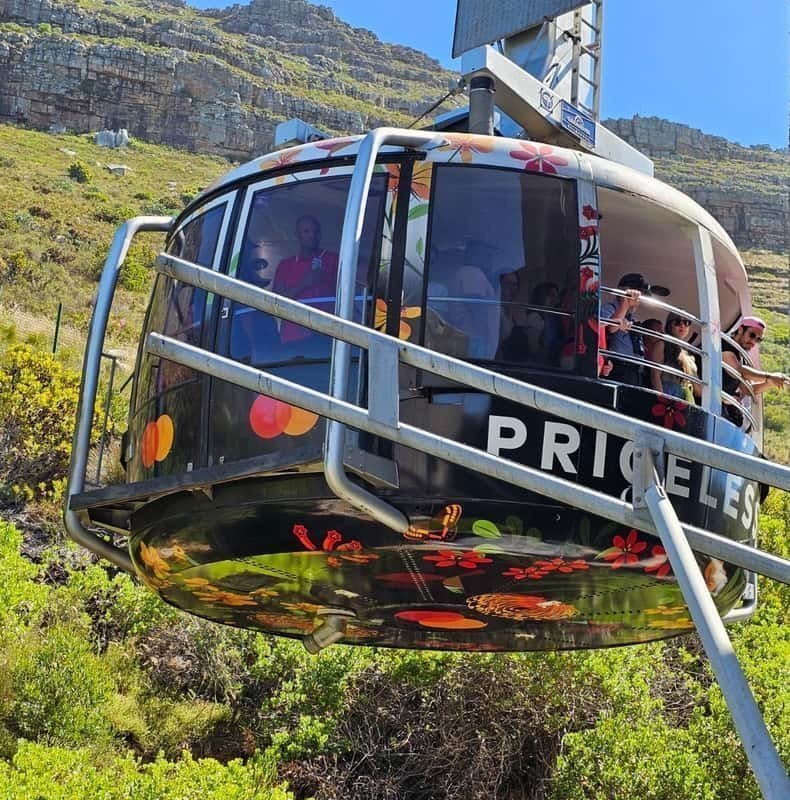 Cape Town: Table Mountain, Cape Point, & Penguins Group Tour