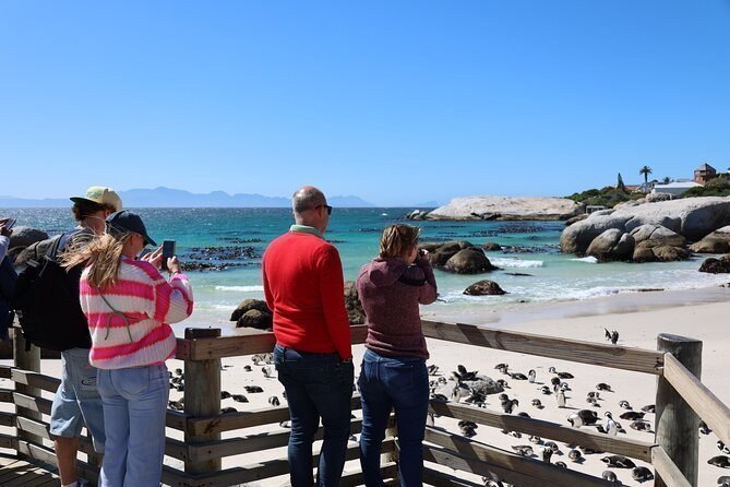 Penguin Encounter Boulders Beach Half Tour Day from Cape Town