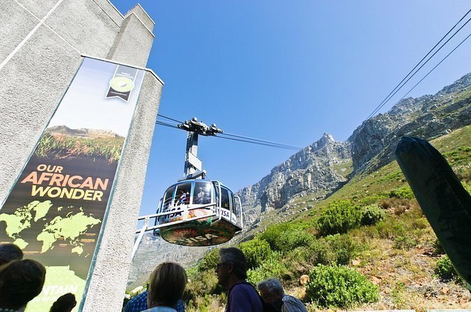 Table Mountain, Penguins & Cape Point Group Tour from Cape Town